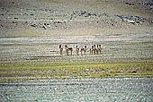 The road from Leh to Manali 